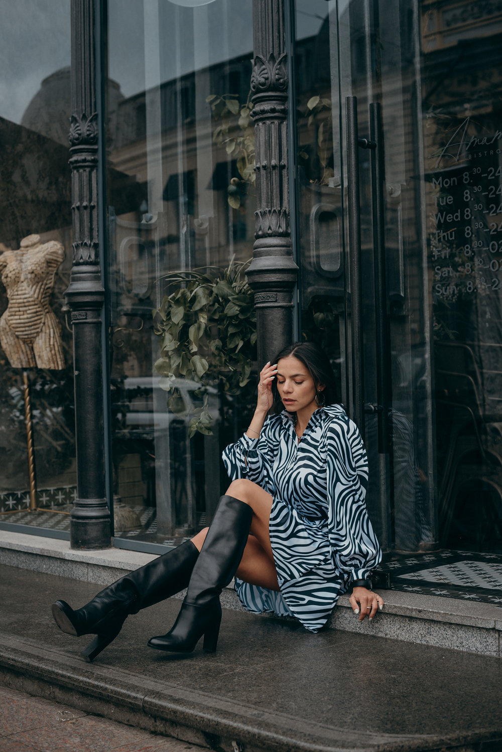 Zebra print shirt dress