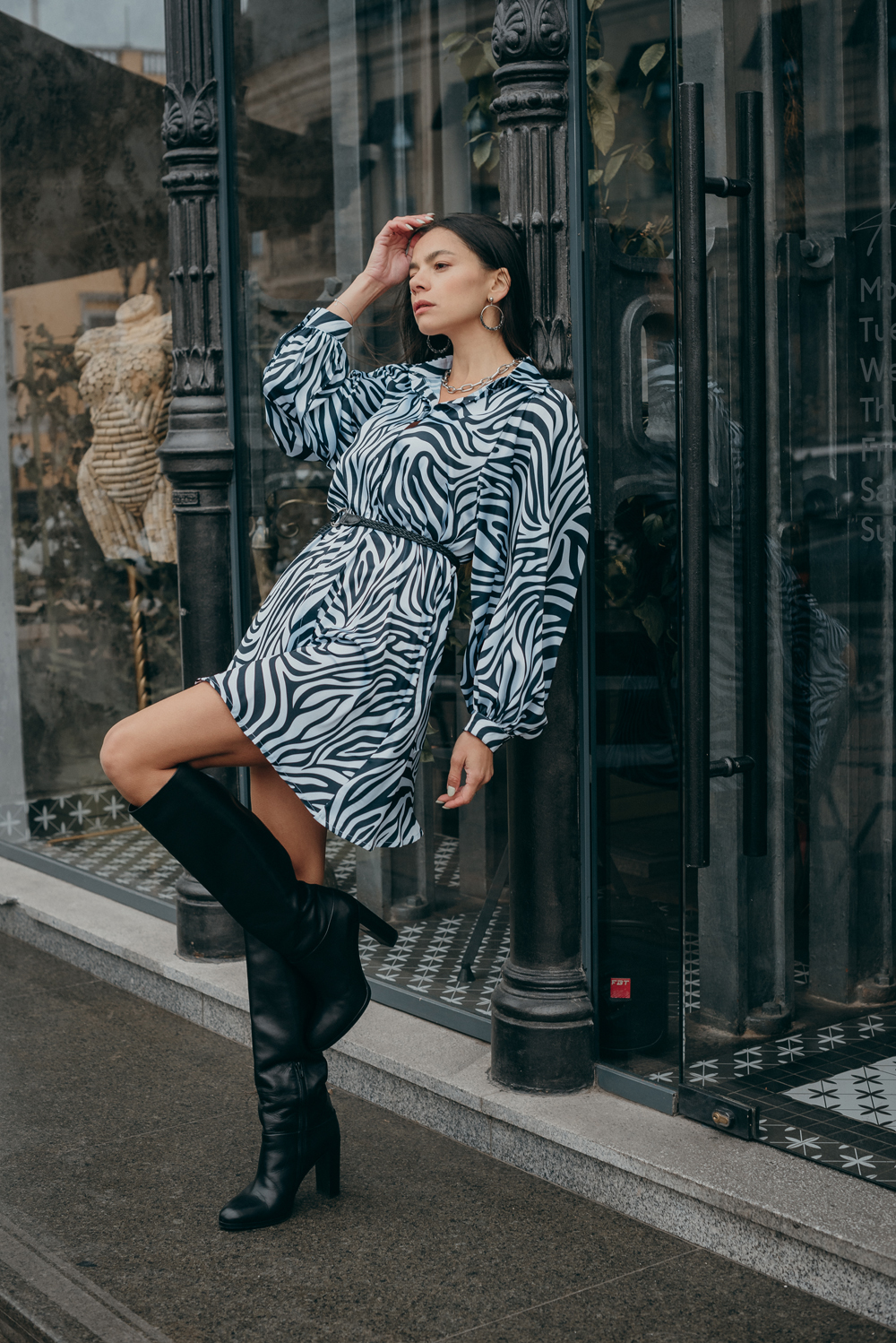 Zebra print shirt dress