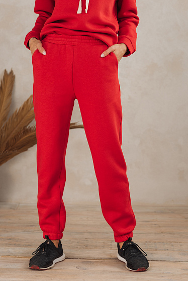 Спортивные брюки, пояс и штанины на резинке, по бокам карманы. Теплая и уютная ткань подходит для зимы. 
Ткань безопасна для здоровья и имеет международный стандарт качества OEKO Tex 100