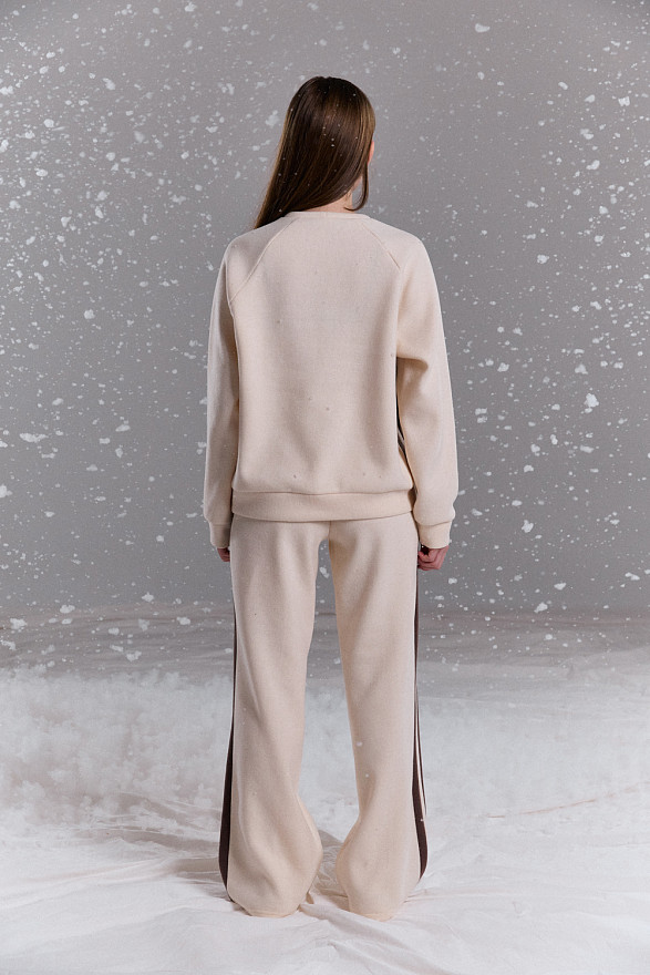 Прогулянковий костюм з подвійними лампасами кольору