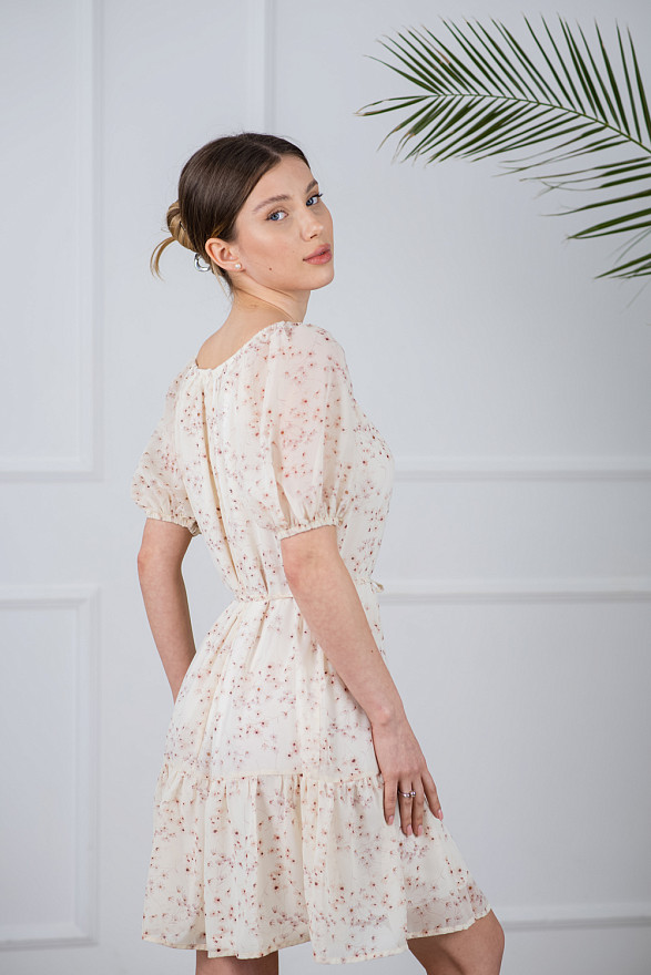 Delicate chiffon dress shade