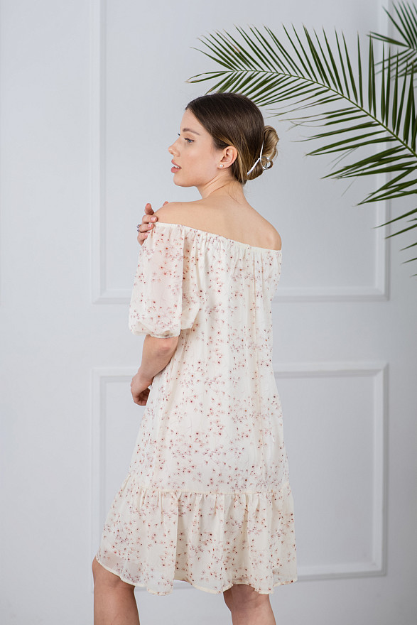 Delicate chiffon dress shade