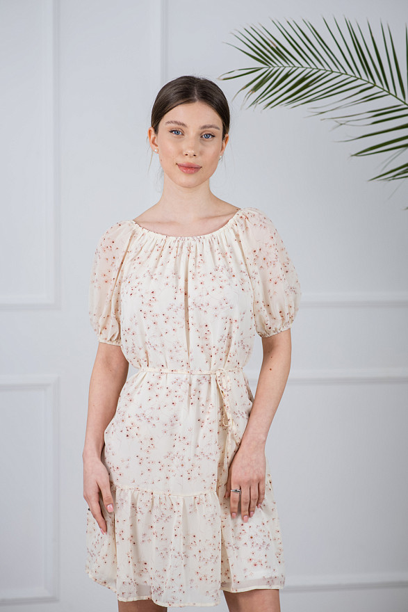 Delicate chiffon dress shade