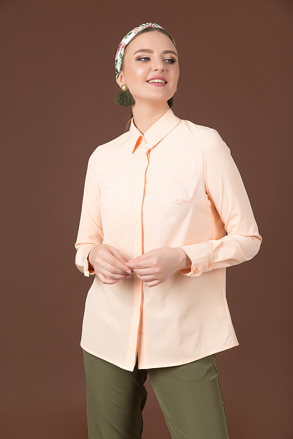 Блузка с потайной планкой