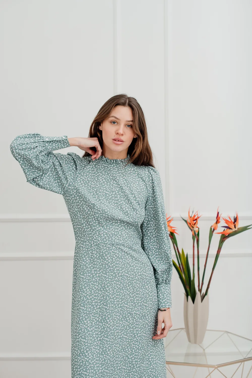 Dress with stand-up collar and delicate ruffles